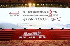 2018年-第三届中国寿险组织发展天雁论坛